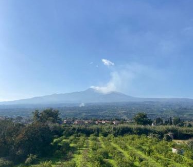 Sant'Anna Apartment | Crateri e coralli