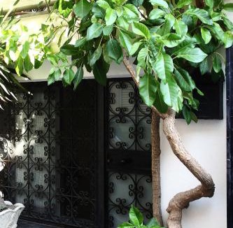 Santa Teresa di Riva House | Daniela House