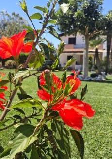 Angri Apartment | Dimora da Anna tra Amalfi e Sorrento