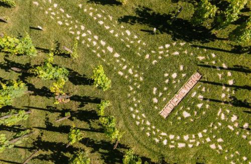 Marzi Bed & Breakfast | Dormire in una botte - Antiche Vigne Pironti