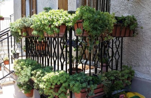 Fornole House | DUETERRE Room & Host - Fornole (TR) Italy - Leonella