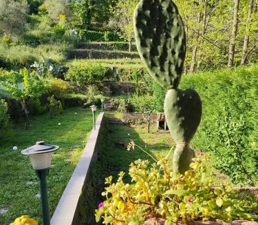 Presa House | Etna Garden Francesca