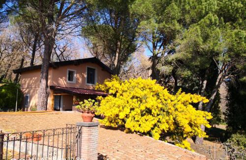 Zafferana Etnea Villa | Feudo Algerazzi