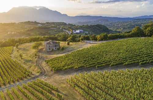 Sorbo Serpico House | Foresteria Relais/Country House surrounded by vineyards