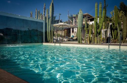 Favara House | Garden Cactus