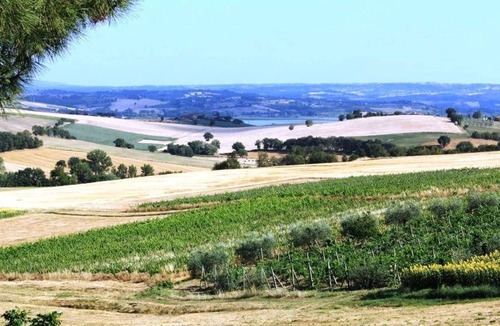 Castiglione del Lago Apartment | Girasole-rolling Hills, Sunflowers+family Friendly
