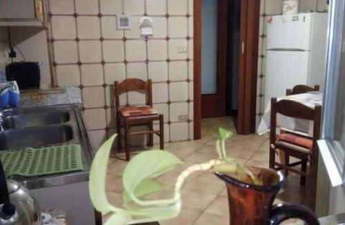 Trapani Apartment | Holiday Apartment Trapani.5 minuti dalla spiaggia!.5 minutes from the beach!