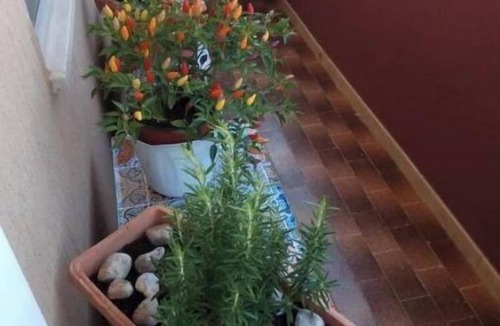 Trapani Apartment | Holiday Apartment Trapani.5 minuti dalla spiaggia!.5 minutes from the beach!