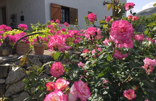 Avola Villa | Holidays between the sea, the lemons of Sicily and the baroque of Noto