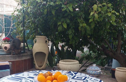Vaccarizzo Apartment | Homerez - Beautiful apartment With sea view and garden