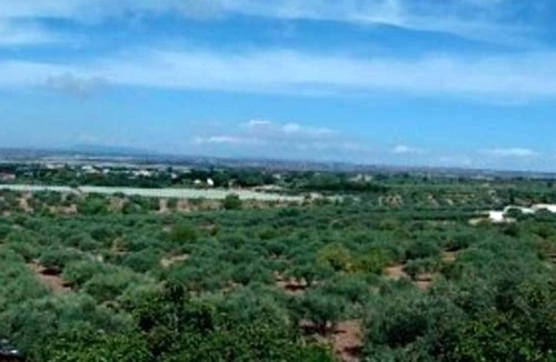 Chiaramonte Gulfi Apartment | Homerez - Beautiful appartement for 3 ppl. at Chiaramonte Gulfi