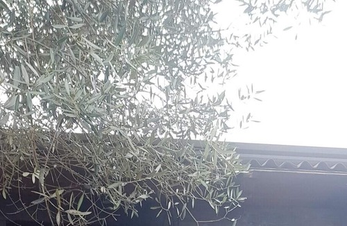 Sant'Antonio Abate House | Homerez - House 5 km away from the beach for 4 ppl. at Sant'Antonio Abate