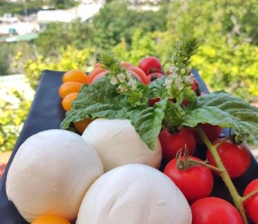 Casamicciola Terme Hotel | Hotel Ape Regina