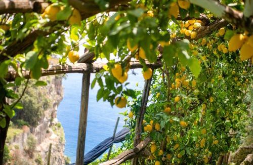 Pogerola Hotel | Hotel La Pergola