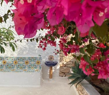Lampedusa Hotel | Hotel Macondo