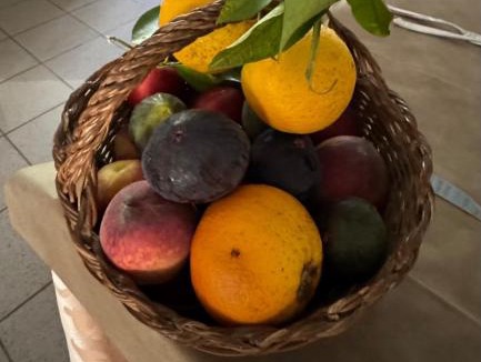 Vico del Gargano Hotel | Hotel Ristorante Sturno