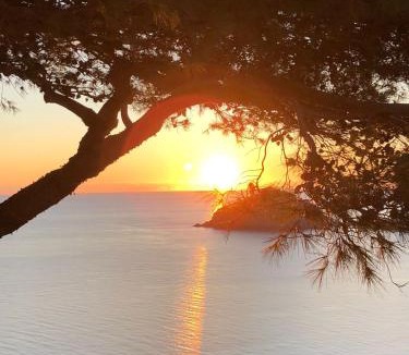 Barano d'Ischia Hotel | Hotel Villa al Mare