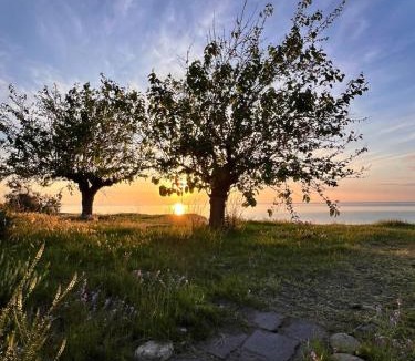 Fondachello House | House on the Sea
