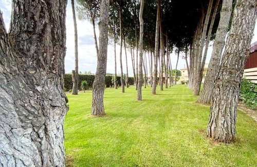 Canicatti Villa | House/Villa - Canicattì
