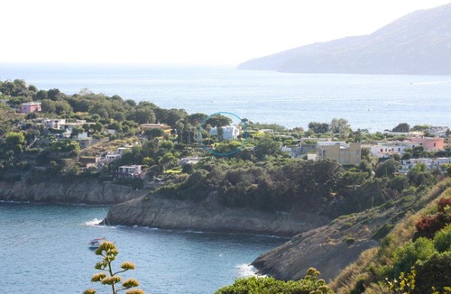 Procida Apartment | Il Carrubo