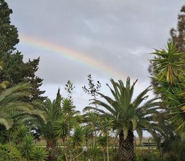 San Pietro Vernotico House | Il Giardino di Ercole