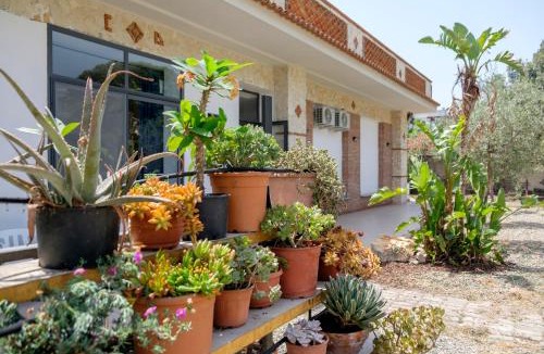 Santa Teresa di Riva Bed & Breakfast | IL VIVAIO Bed and Breakfast