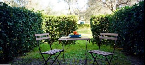 Contrada Taverna Apartment | Nel villaggio il Monolocale tra gli ulivi