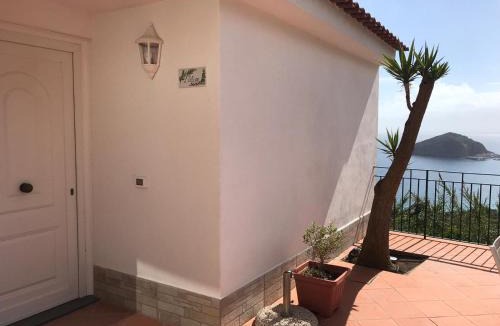 Barano d'Ischia Apartment | L' Ulivo Villa Nunzia