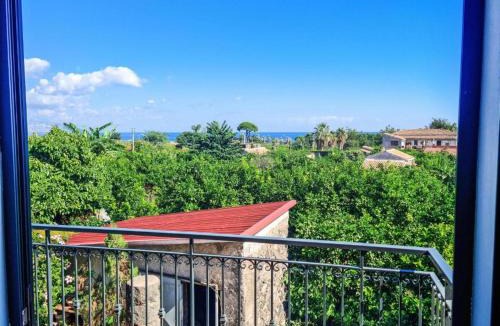 Riposto House | la casa del cedro