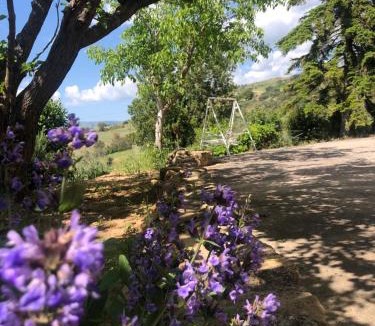 Gagliano Castelferrato House | La Casa Delle Olive