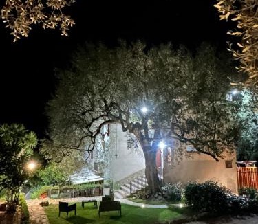 Marina di Pisciotta Apartment | La Casa del Maestro Attico