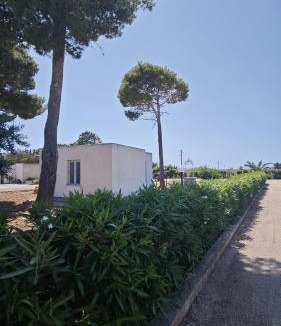 Rilievo Apartment | La casa del Pino