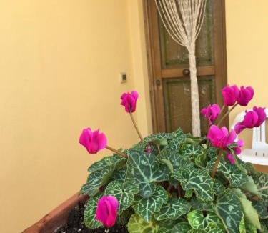 Lacco Ameno House | LA CASETTA DI ERIKA