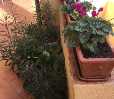 Lacco Ameno House | LA CASETTA DI ERIKA
