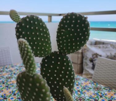 Lendinuso House | LA FINESTRA SUL MARE