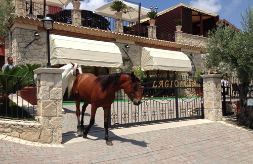 Cleto House | La Gioiosa Agriturismo