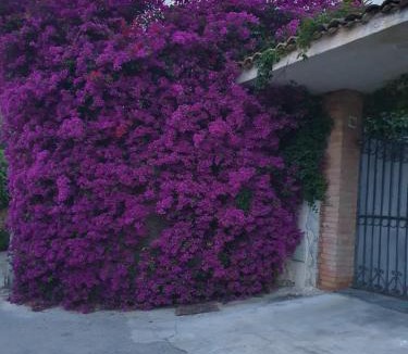 Acradina House | La Latomia Villa nei pressi del Teatro Greco