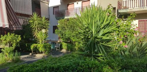 Aci San Filippo Apartment | La Maison de la Lumière