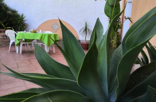 Mockarta Bed & Breakfast | La Mimosa di Erice