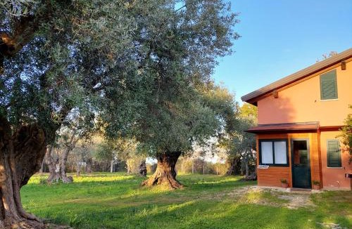 Amica Bed & Breakfast | La Piana degli Ulivi
