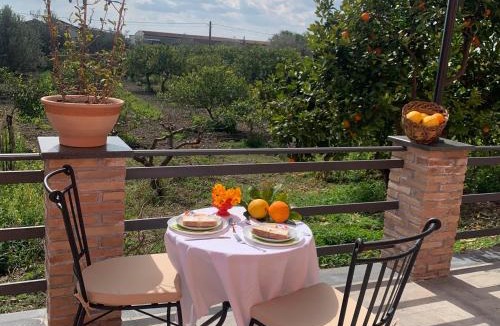 Trappitello Bed & Breakfast | La Pomelia B&b Sofia