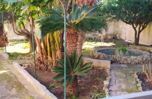 Alcamo Apartment | La Rugiada - with a garden and private motorcycle parking | Two-room apartment