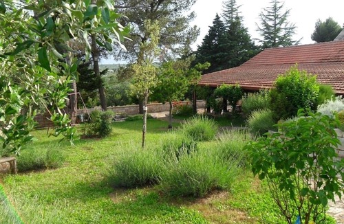 Alberobello House | Lots greenery 2 km from Alberobello Unesco heritage site unique and welcoming
