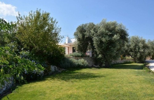 Avola Villa | Mediterranean-style villa surrounded by centuries-old olive and lemon trees