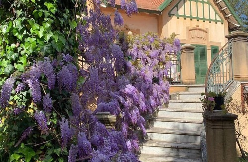 Mondello Apartment | Mondello Beach just 90 meters from the sea. Apartment in a Liberty style villa