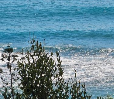 Belvedere Marittimo House | Naturoasi Resort