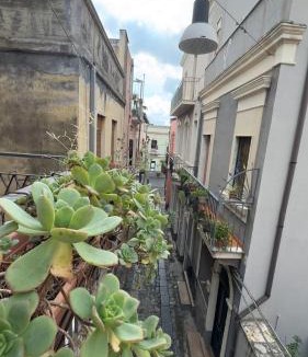 Biancavilla Apartment | NinettaHouse - Biancavilla