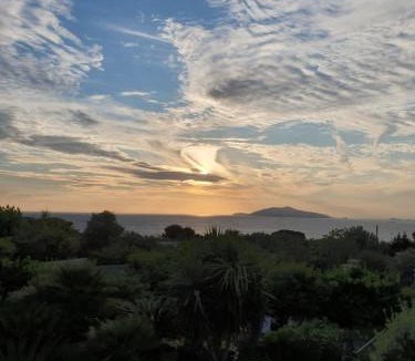 Anacapri Bed & Breakfast | Oasi di Villa Damecuta