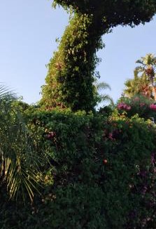 Recanati Apartment | Oleandri Beach Resort