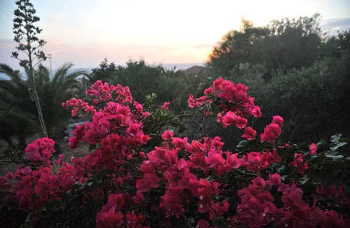 Pantelleria Villa | PANTELLERIA (DAMMUSO) VILLA WITH UNFORGETTABLE SEA VIEW QUIET AND SUNSETS